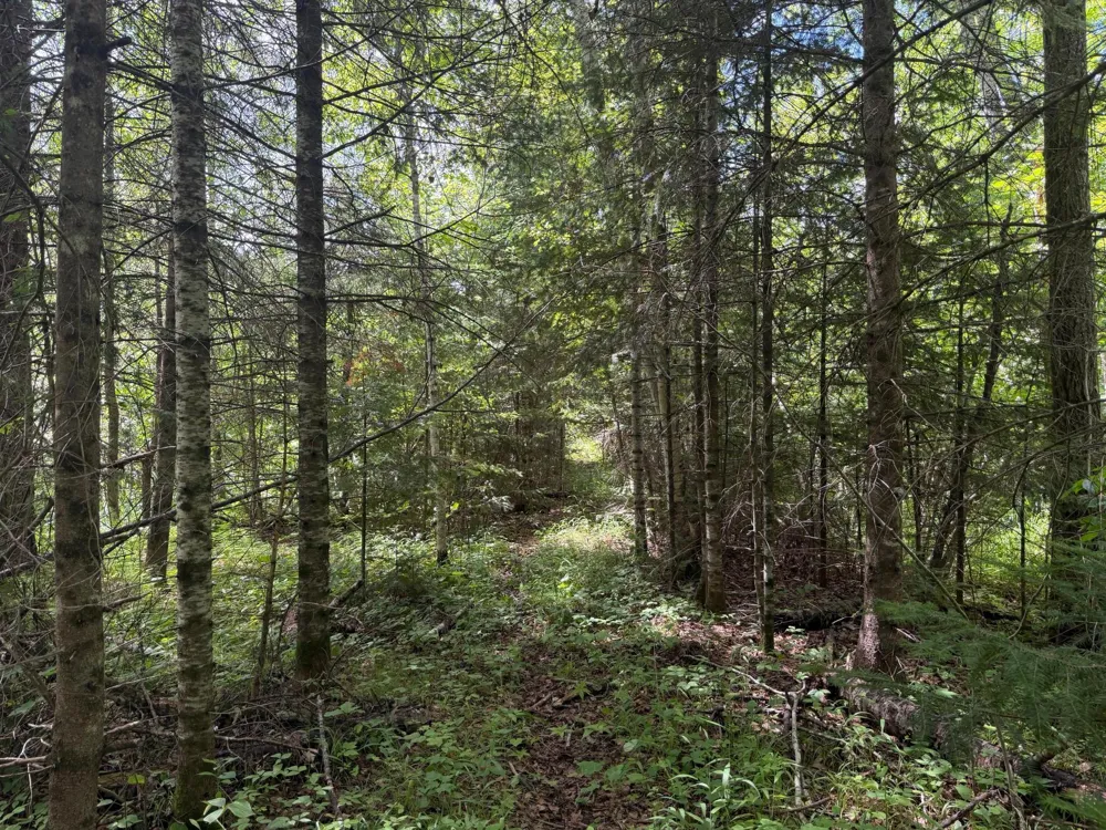 15512 Highway 27 Sturgeon Lake, MN 55783