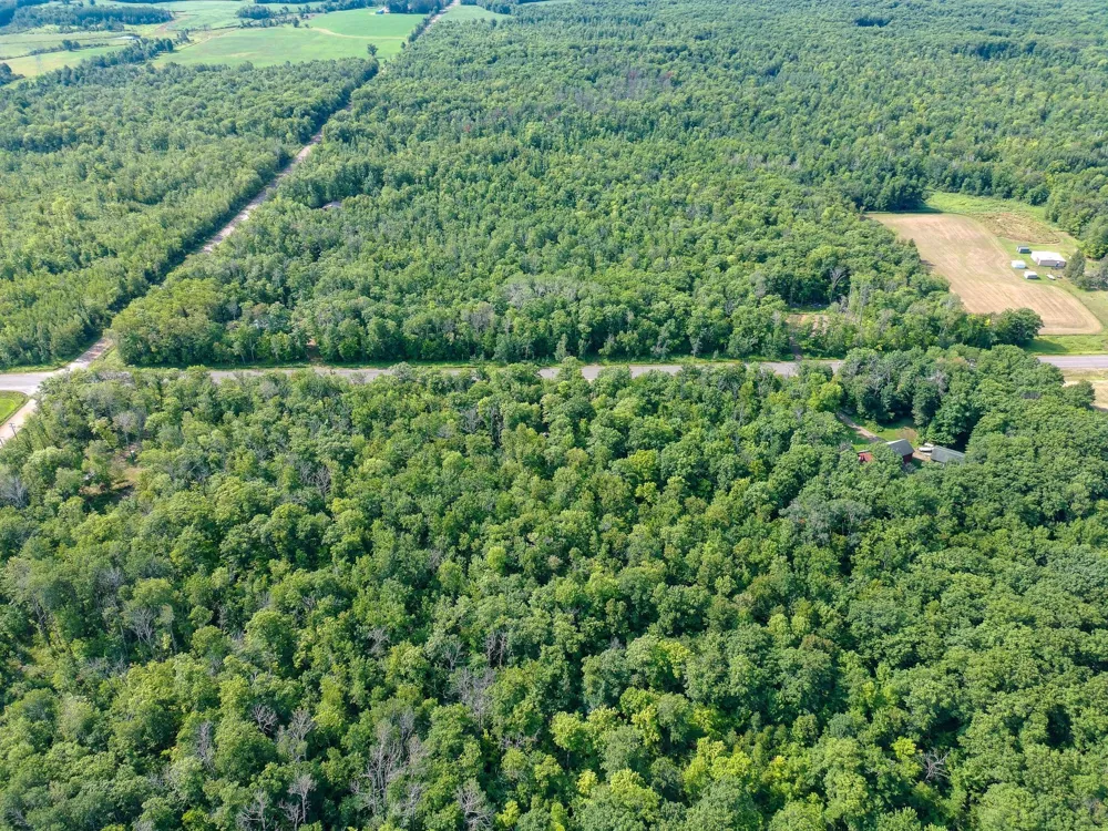 17711 County Road 41 Willow River, MN 55795