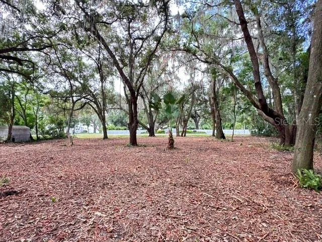 E HWY 25 Ocklawaha, FL 32179