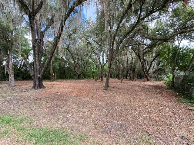 E HWY 25 Ocklawaha, FL 32179