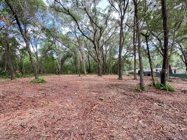 E HWY 25 Ocklawaha, FL 32179