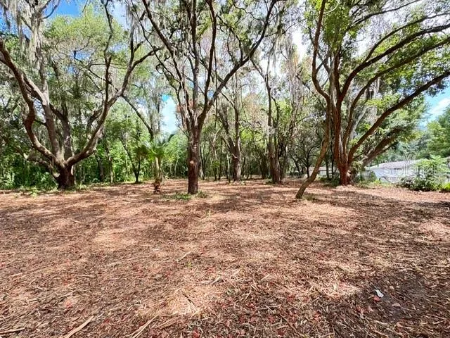 E HWY 25 Ocklawaha, FL 32179