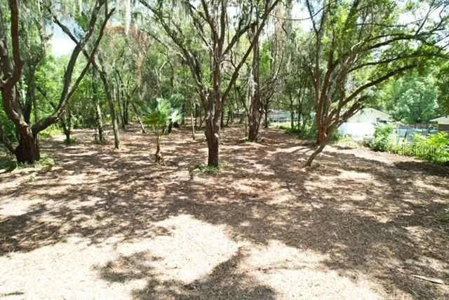 E HWY 25 Ocklawaha, FL 32179