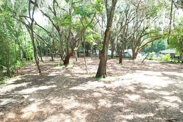 E HWY 25 Ocklawaha, FL 32179