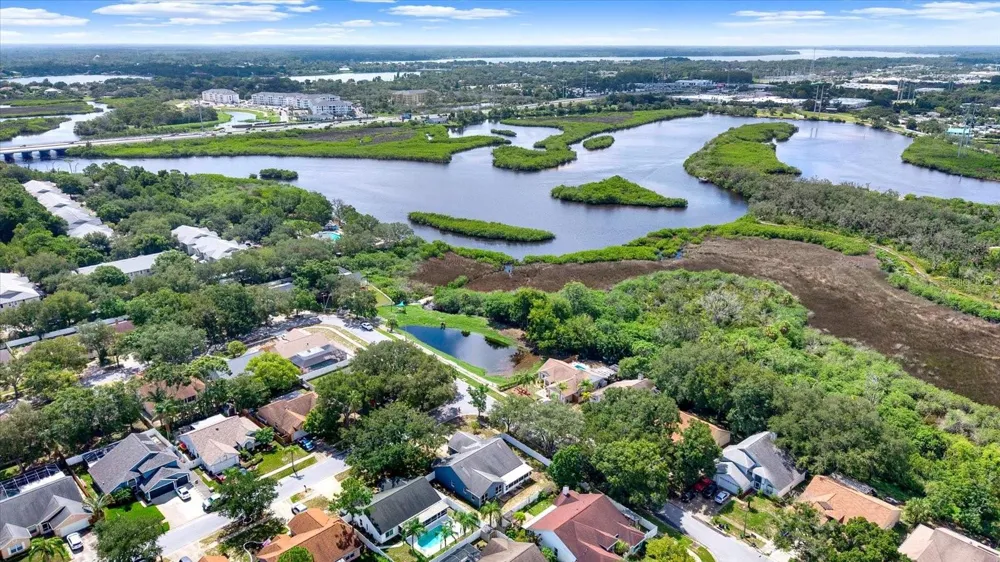 1427 BAY VIEW STREET Tarpon Springs, FL 34689