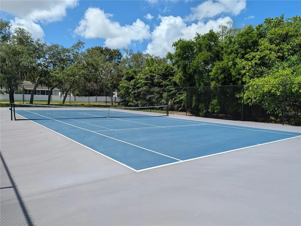 1427 BAY VIEW STREET Tarpon Springs, FL 34689