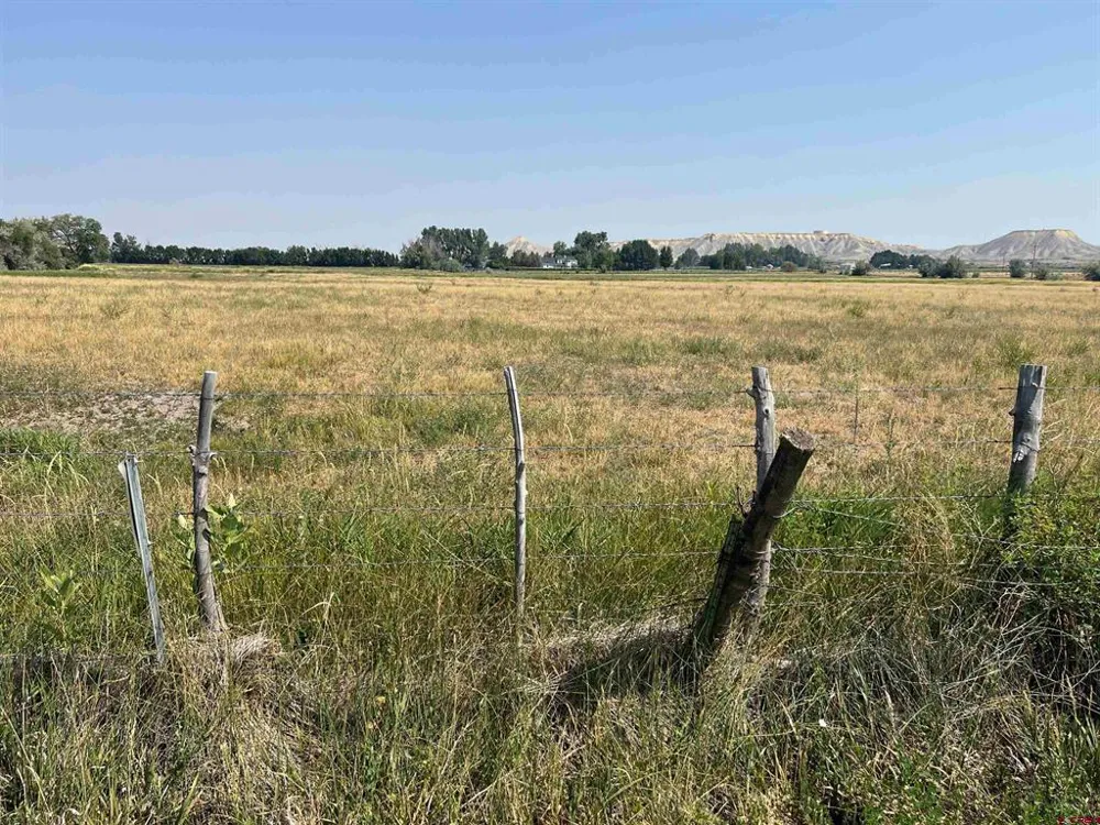 TBD ROAD Montrose, CO 81403