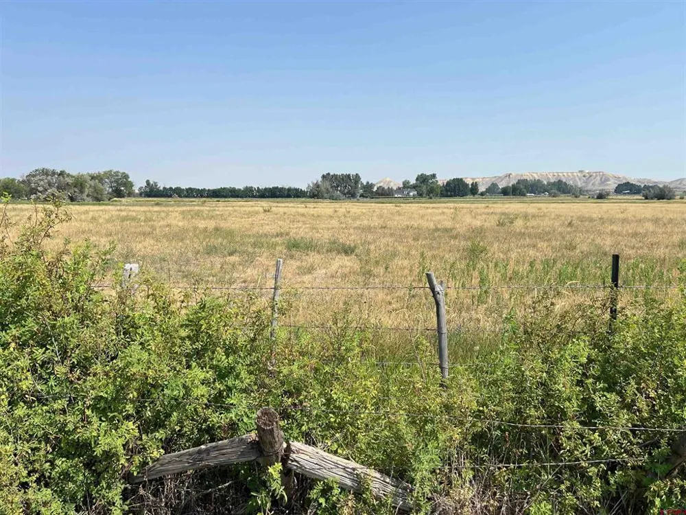 TBD ROAD Montrose, CO 81403