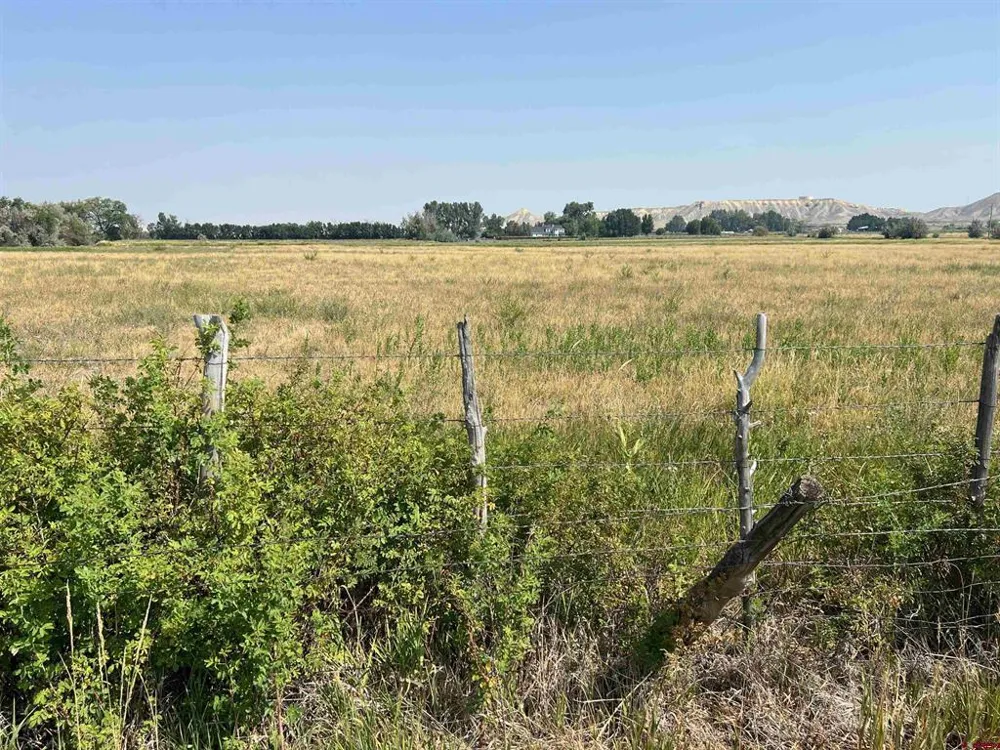 TBD ROAD Montrose, CO 81403