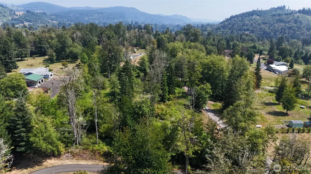 0 XXX Harmony Lane Mossyrock, WA 98564