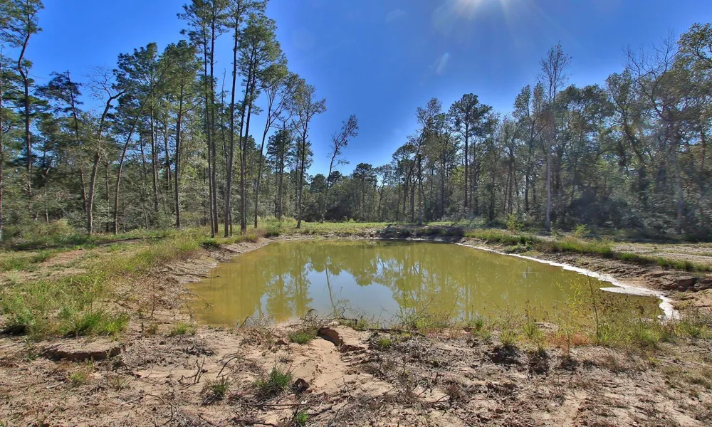 19324 Crystalwood Estates Drive New Caney, TX 77357