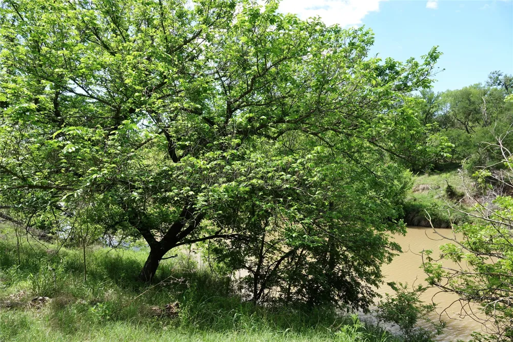 588 S County Road 430 Goldthwaite, TX 76844