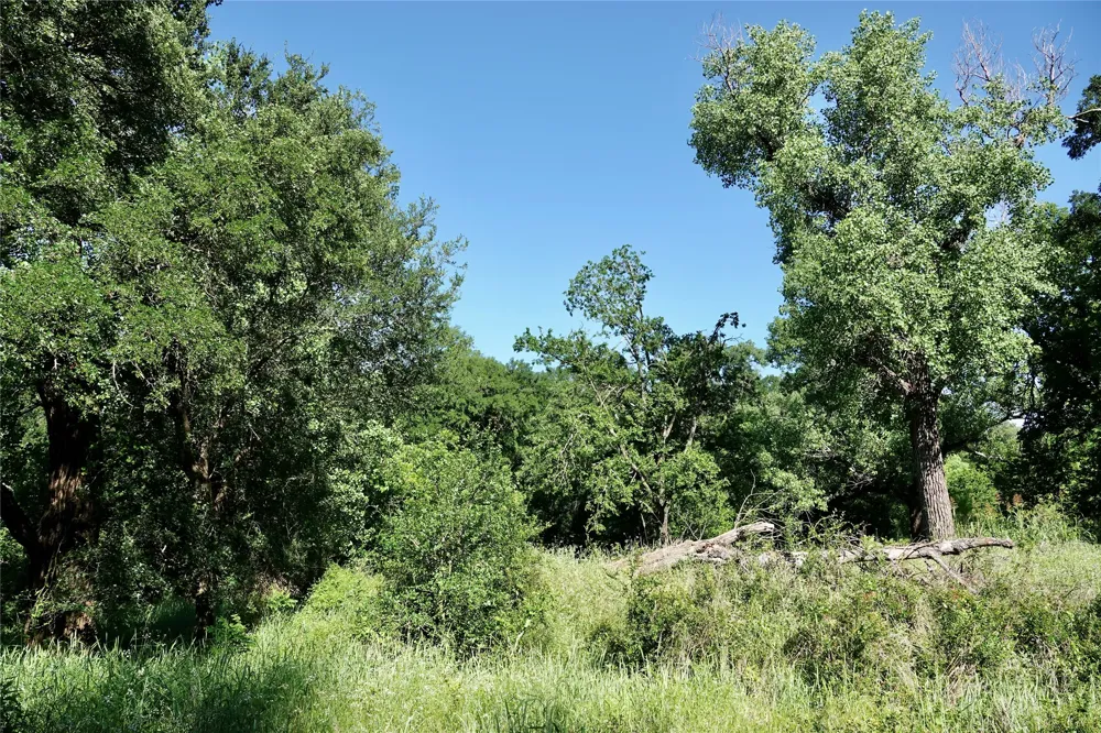 588 S County Road 430 Goldthwaite, TX 76844