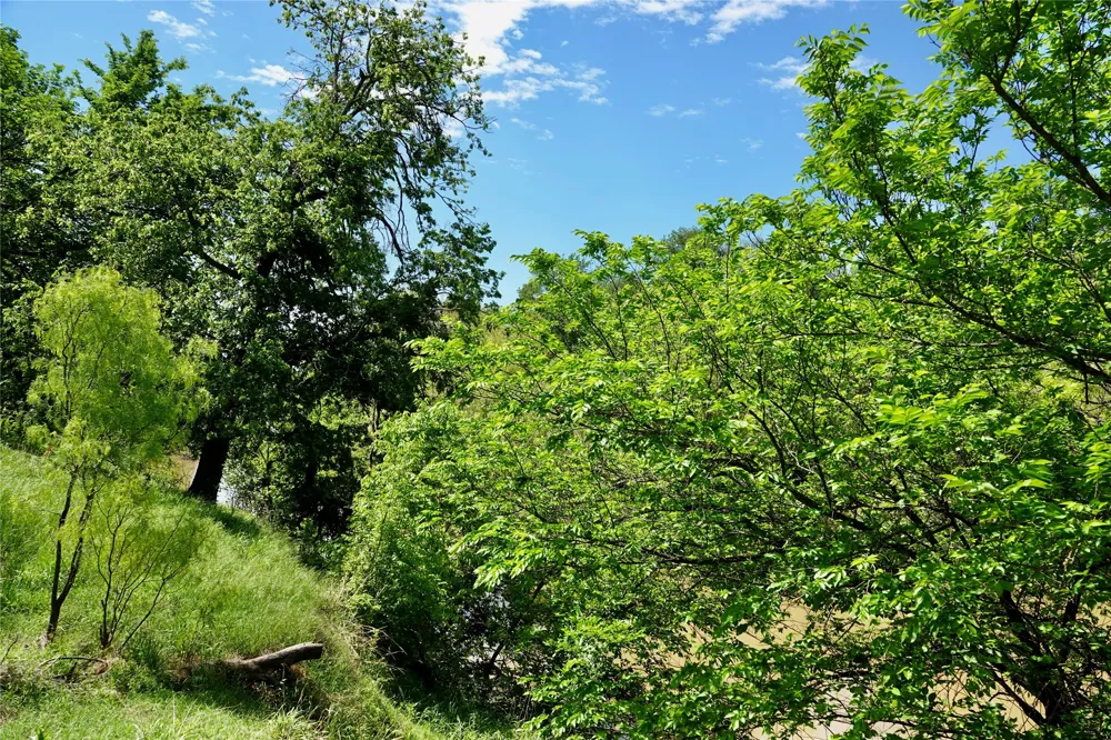 588 S County Road 430 Goldthwaite, TX 76844