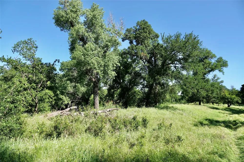 588 S County Road 430 Goldthwaite, TX 76844