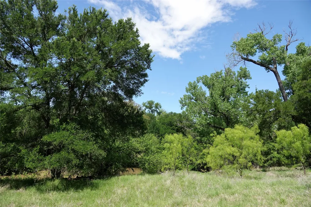 588 S County Road 430 Goldthwaite, TX 76844