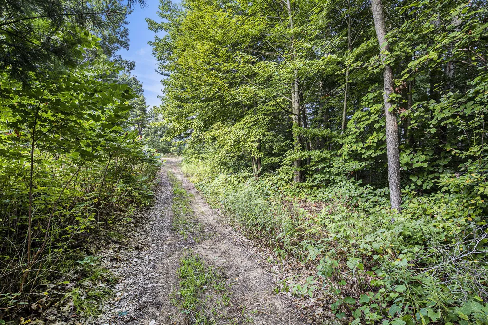 12487 Horseshoe Drive NE Gowen, MI 49326