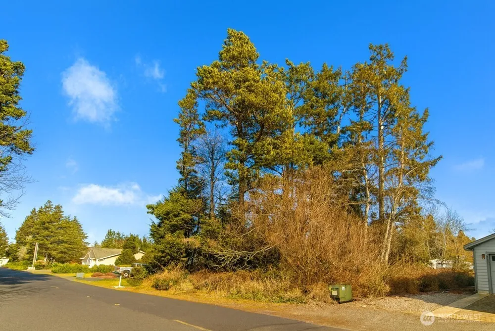 30904 M PLACE Ocean Park, WA 98640