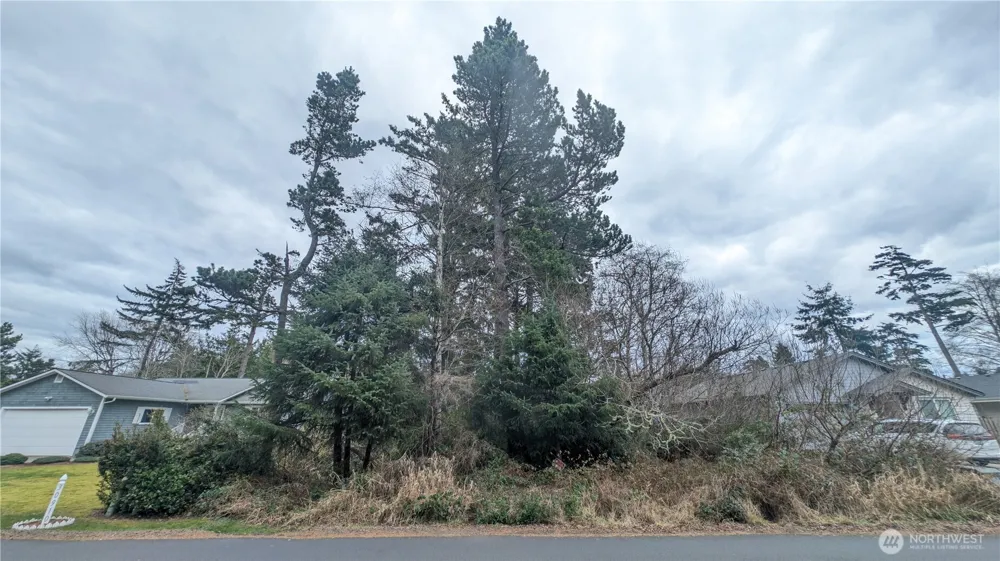 30904 M PLACE Ocean Park, WA 98640