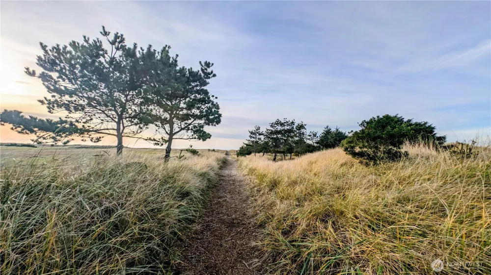 30904 M PLACE Ocean Park, WA 98640