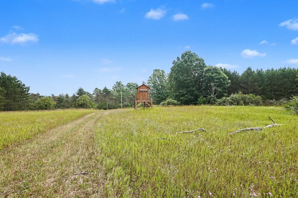 6898 E 5 Mile Road Luther, MI 49656