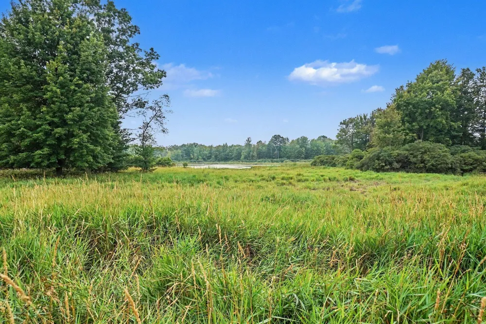 6898 E 5 Mile Road Luther, MI 49656
