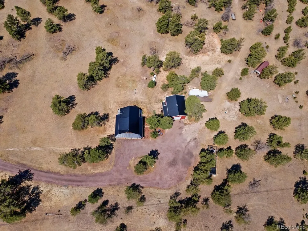 32030 Cattle Circle Ramah, CO 80832