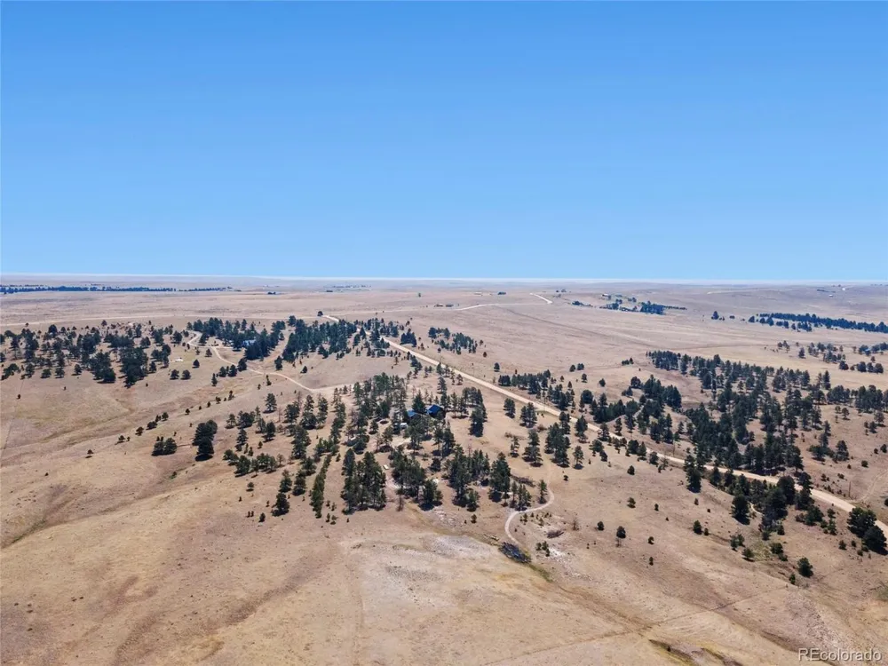 32030 Cattle Circle Ramah, CO 80832