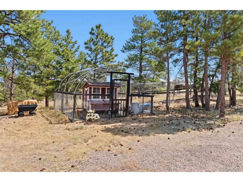 32030 Cattle Circle Ramah, CO 80832