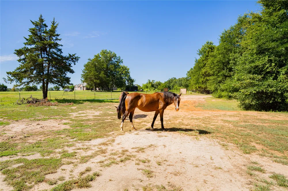 7635 US Highway 271 Highway Mt Pleasant, TX 75455