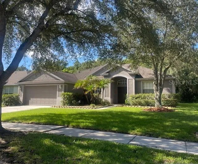 8343 TORRINGTON AVENUE Tampa, FL 33647