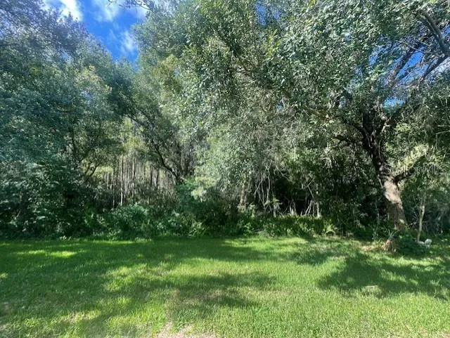 8343 TORRINGTON AVENUE Tampa, FL 33647