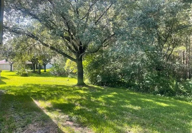 8343 TORRINGTON AVENUE Tampa, FL 33647
