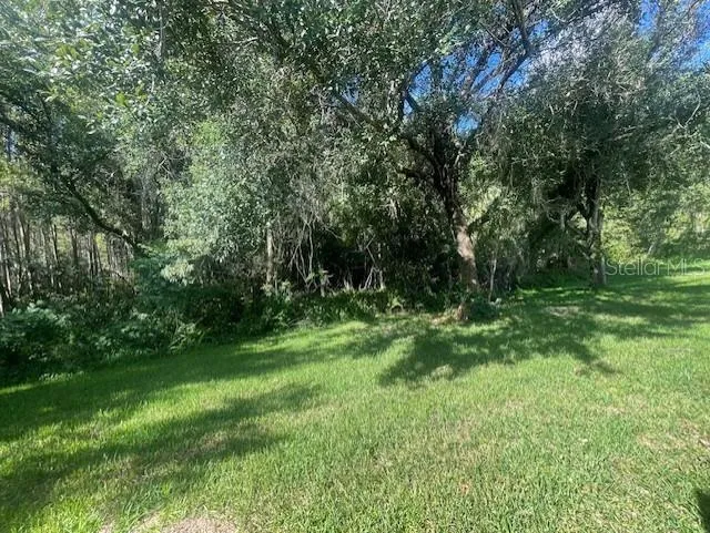 8343 TORRINGTON AVENUE Tampa, FL 33647