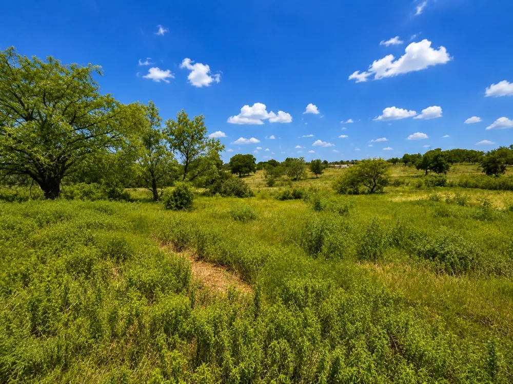14197 County Road 4054 Kemp, TX 75143