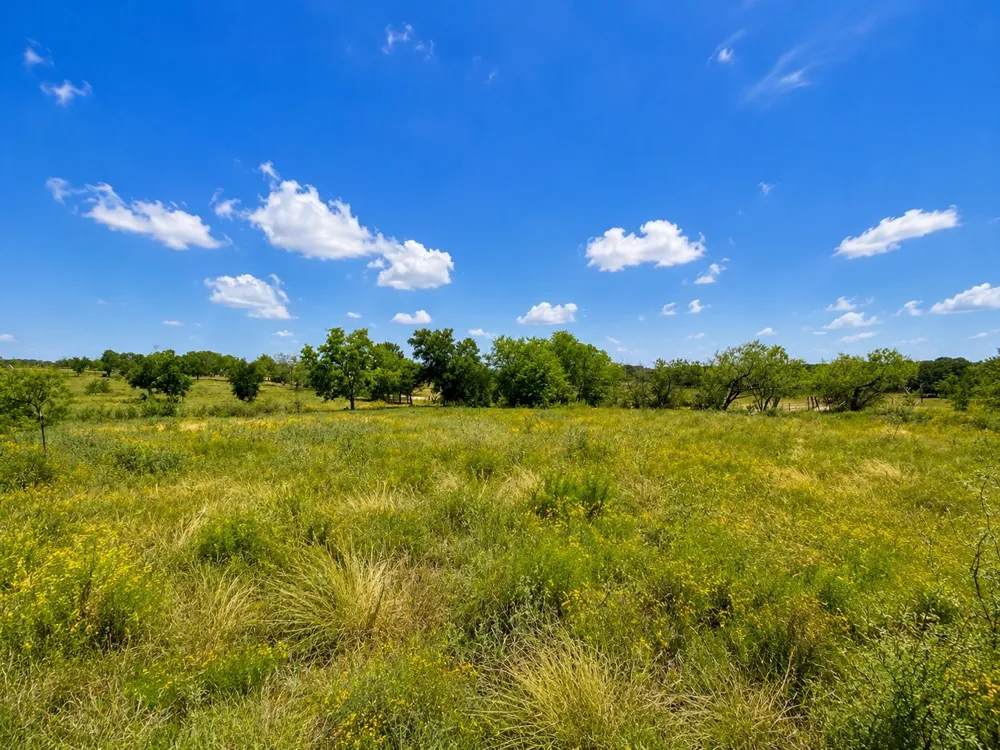 14197 County Road 4054 Kemp, TX 75143