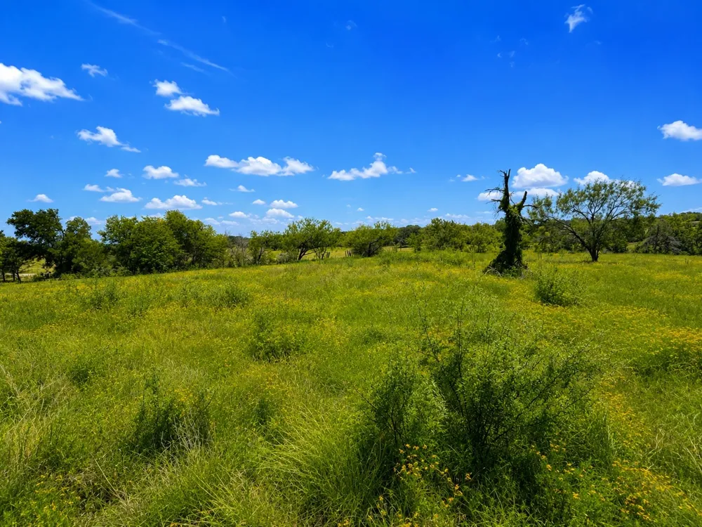14197 County Road 4054 Kemp, TX 75143