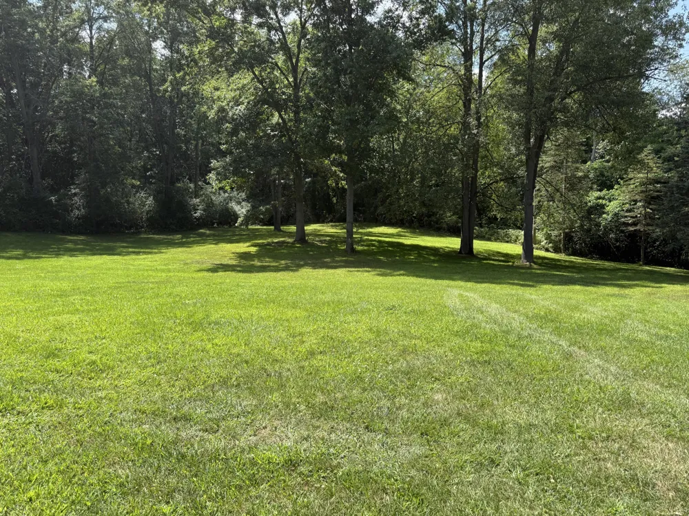 18760 28 Mile Road Albion, MI 49224