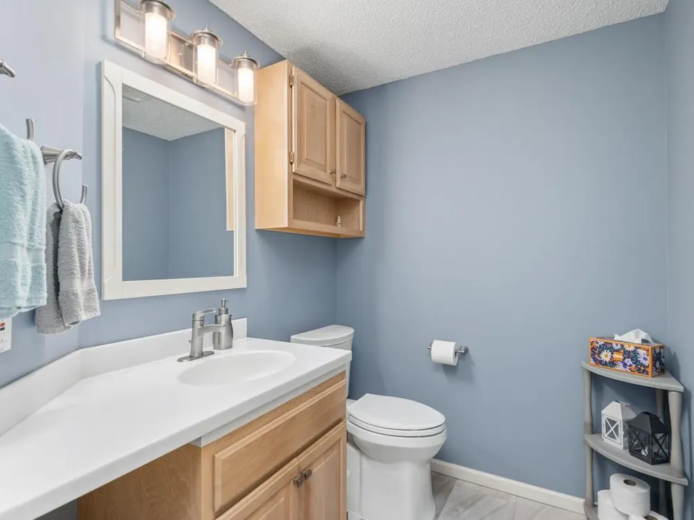 733 Ashley Drive Chaska, MN 55318