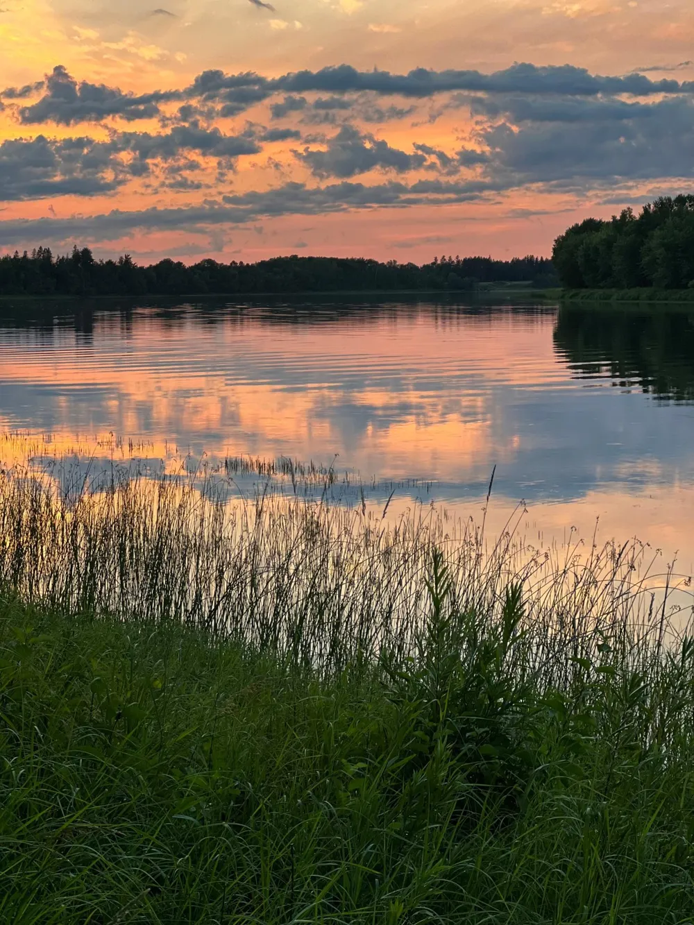 11537 State Highway 11 SE Baudette, MN 56623