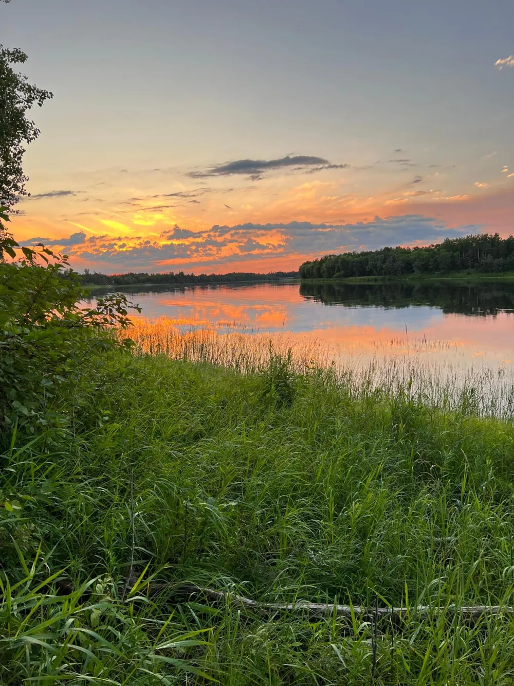 11537 State Highway 11 SE Baudette, MN 56623
