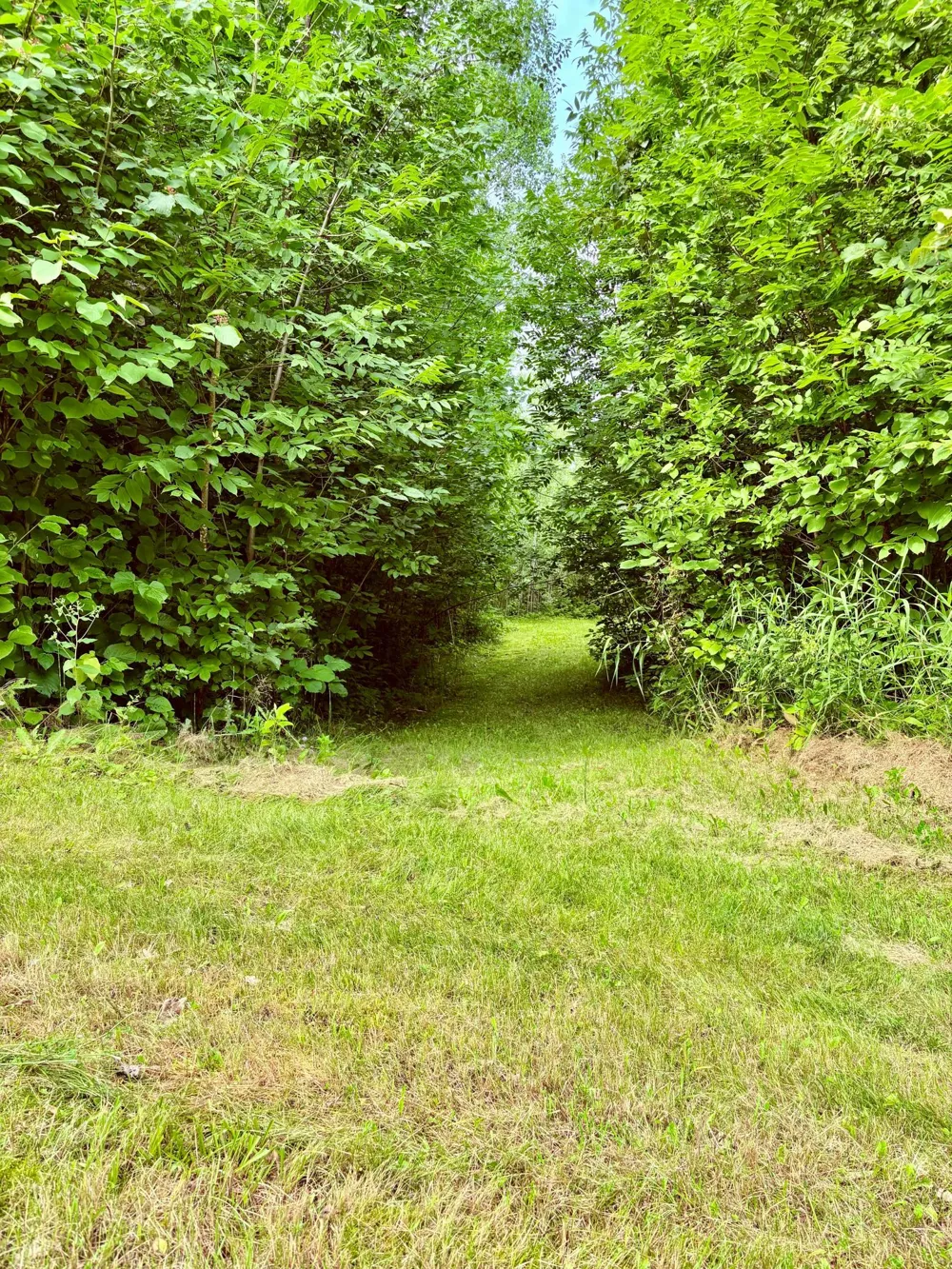 11537 State Highway 11 SE Baudette, MN 56623