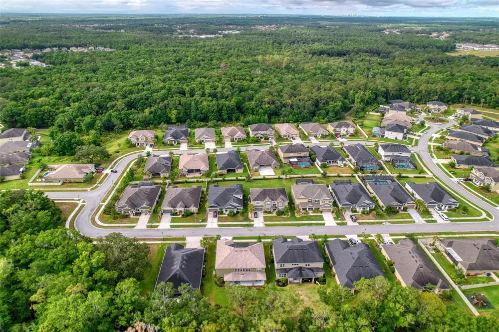 26888 FIDDLEWOOD LOOP Wesley Chapel, FL 33544