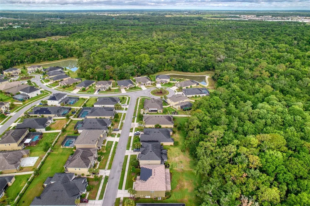 26888 FIDDLEWOOD LOOP Wesley Chapel, FL 33544