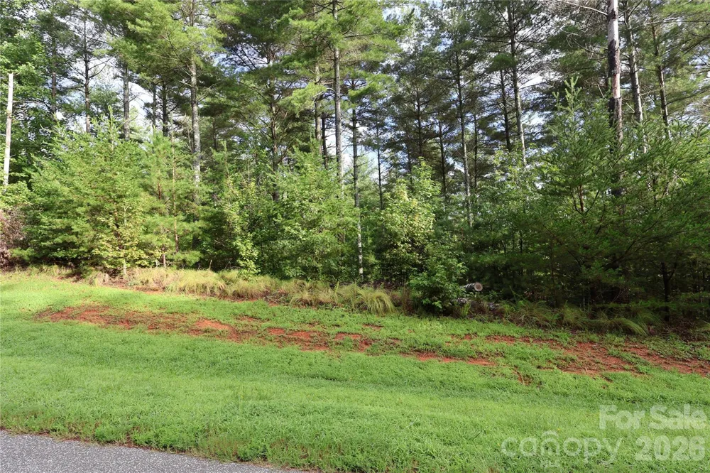 TBD Peninsula Reserve Drive #6 Nebo, NC 28761