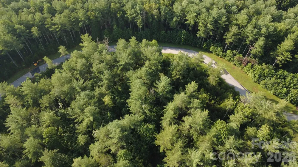 TBD Peninsula Reserve Drive #6 Nebo, NC 28761