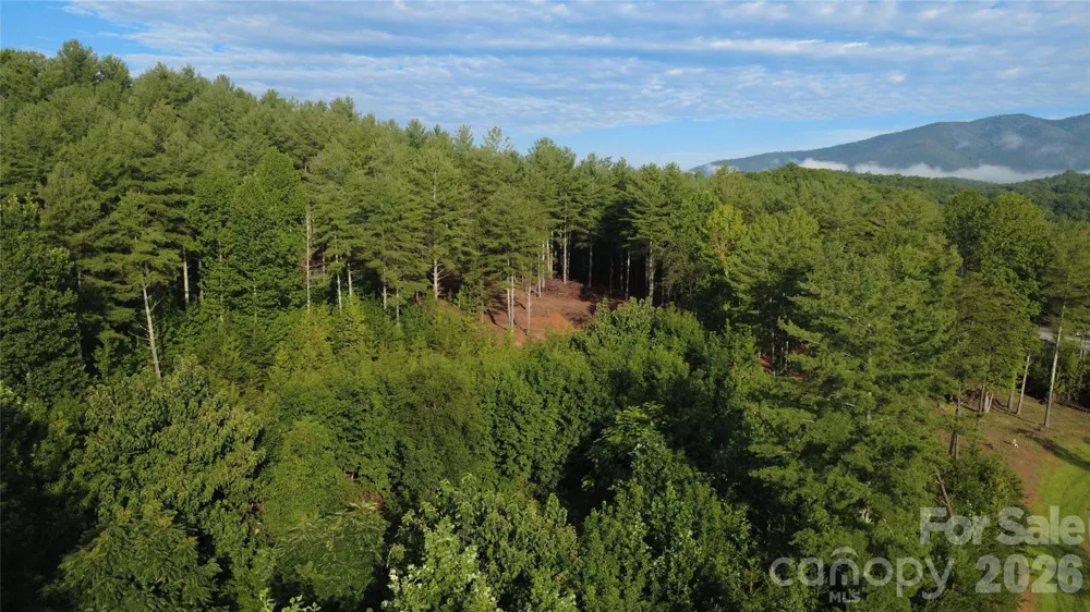TBD Peninsula Reserve Drive #6 Nebo, NC 28761
