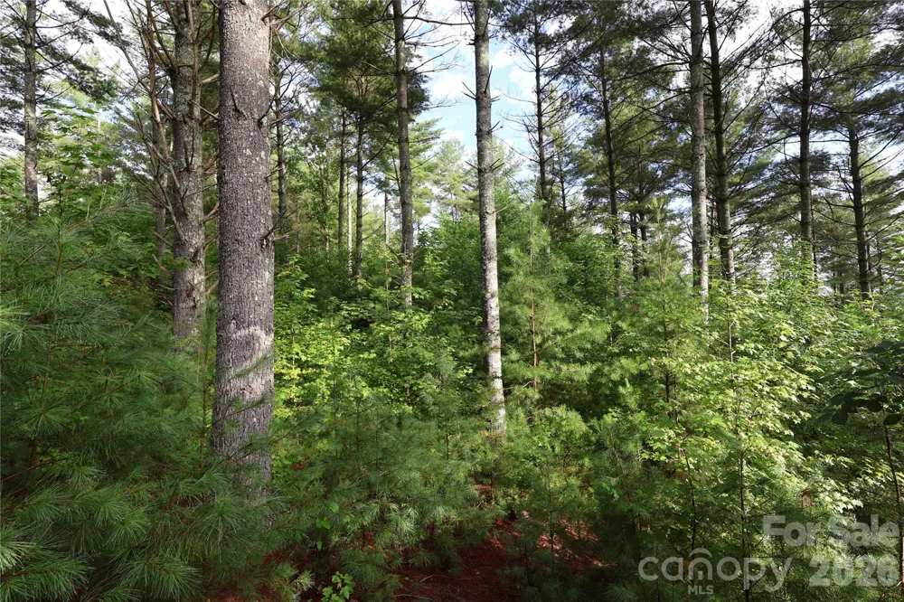 TBD Peninsula Reserve Drive #6 Nebo, NC 28761