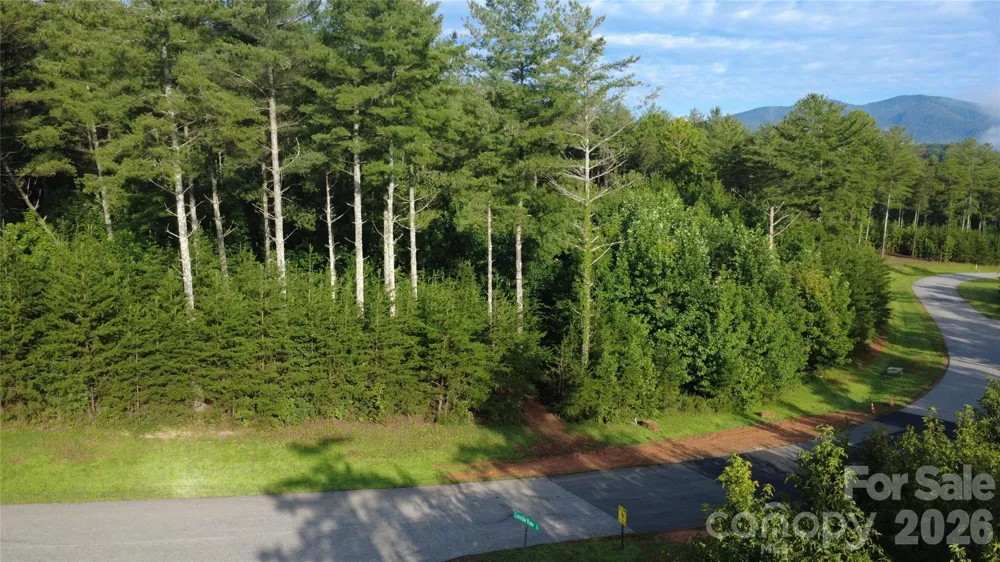 TBD Peninsula Reserve Drive #27 Nebo, NC 28761