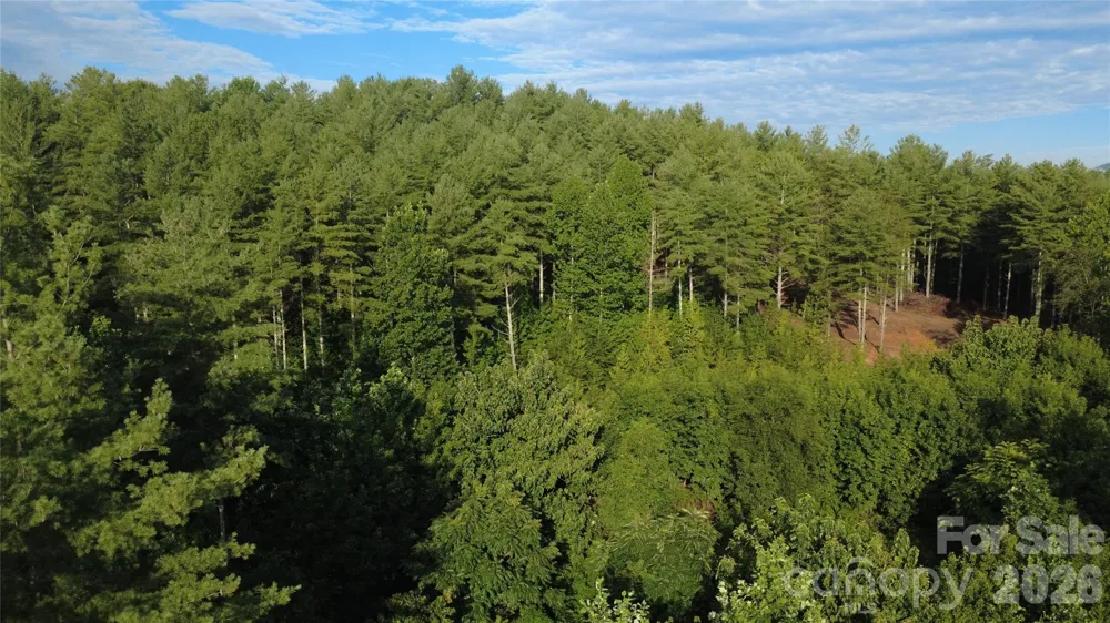 TBD Peninsula Reserve Drive #27 Nebo, NC 28761